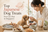 Top Japanese Dog Treats You Can Buy in Singapore