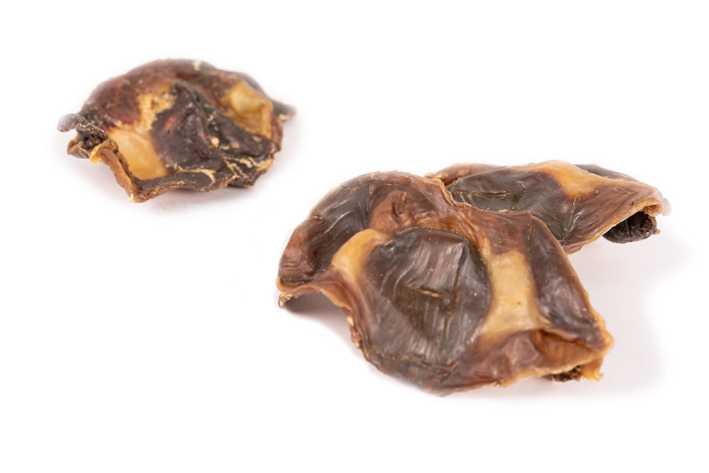 Close-up of Air Dried Chicken Gizzard showing the natural texture of this chicken tender dog treats. Chewy texture promotes dental health, a healthy air-dried treat from Michinoku Farm Japan