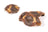 Close-up of Air Dried Chicken Gizzard showing the natural texture of this chicken tender dog treats. Chewy texture promotes dental health, a healthy air-dried treat from Michinoku Farm Japan
