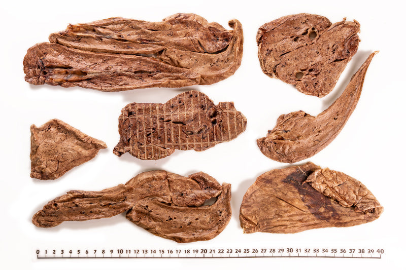 Close-up of Air Dried Iwami Pork Lung showing the natural texture of this freeze dried pork for dogs. High protein, low-fat daily snack, a healthy air-dried treat from Michinoku Farm Japan