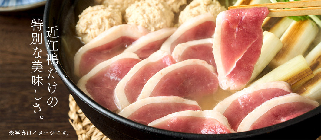 Close-up of Air Dried Omi Duck Meat showing the natural texture of this freeze dried duck. Higher iron than chicken breast, a healthy air-dried treat from Michinoku Farm Japan