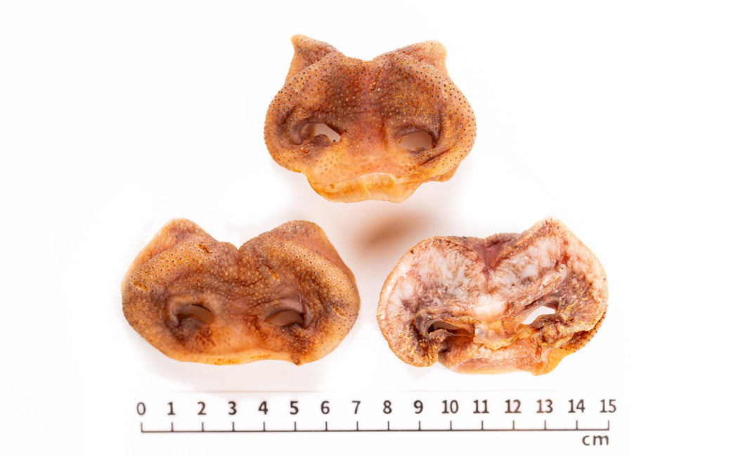 Air Dried Pig Nose pieces served out of the pouch, seasonal limited product, autumn to spring. A natural pig snout for dogs treat for dogs and cats from Michinoku Farm Singapore