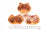 Air Dried Pig Nose pieces served out of the pouch, seasonal limited product, autumn to spring. A natural pig snout for dogs treat for dogs and cats from Michinoku Farm Singapore