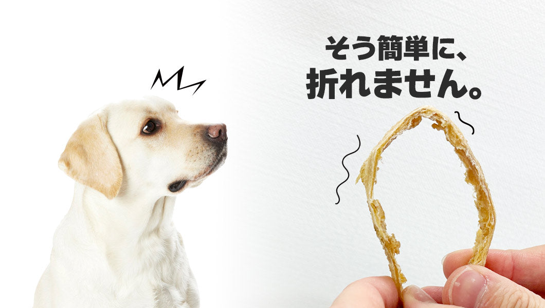 Close-up of Air Dried Shark Meat Sticks showing the natural texture of this shark meat for dogs. Rich in collagen for joint health, a healthy air-dried treat from Michinoku Farm Japan