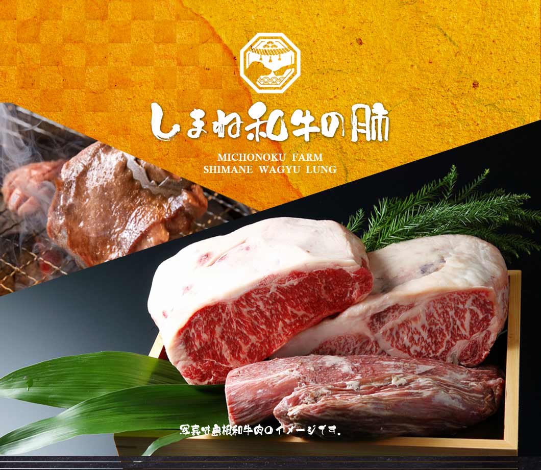 Air Dried Shimane Wagyu Beef Lung pieces served out of the pouch, no artificial additives, preservatives, coloring. A natural wagyu dog treats treat for dogs and cats from Michinoku Farm Singapore
