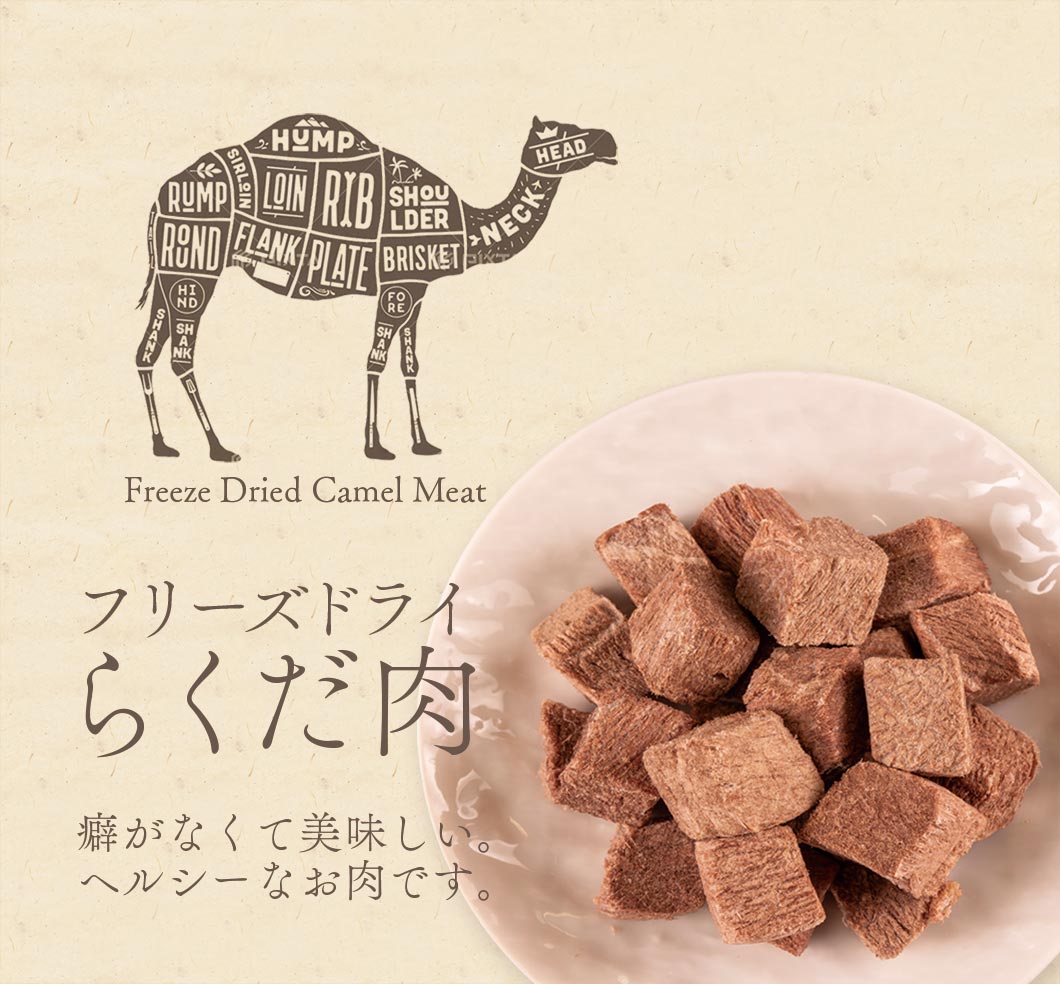 Freeze Dried Camel pieces served out of the pouch, single-ingredient, beef-like flavor pets love. A natural camel dog treats treat for dogs and cats from Michinoku Farm Singapore