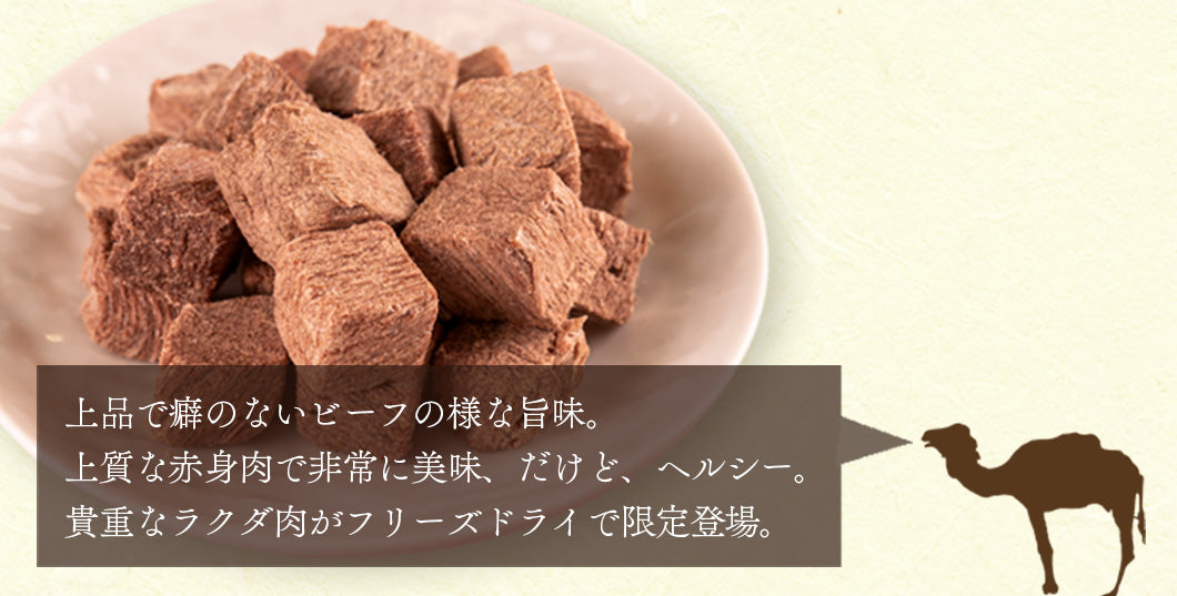Close-up of Freeze Dried Camel showing the natural texture of this novel protein dog treats. High protein, naturally low cholesterol, a healthy freeze-dried treat from Michinoku Farm Japan