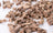 Close-up of Freeze Dried Horse Meat (Small Cubes) showing the natural texture of this freeze dried horse. Soft cubes, easy for small dogs, a healthy freeze-dried treat from Michinoku Farm Japan