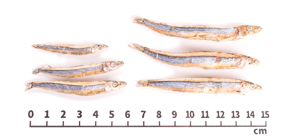 Close-up of Freeze Dried Kibinago showing the natural texture of this freeze dried fish for dogs. Rich in calcium for strong bones, a healthy freeze-dried treat from Michinoku Farm Japan