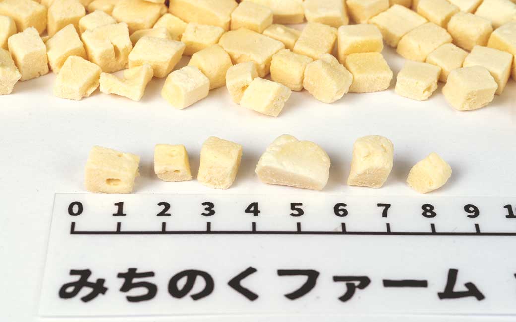 Freeze Dried Mozzarella Cheese pieces served out of the pouch, soft, light texture, easy to chew. A natural cheese dog treats treat for dogs and cats from Michinoku Farm Singapore