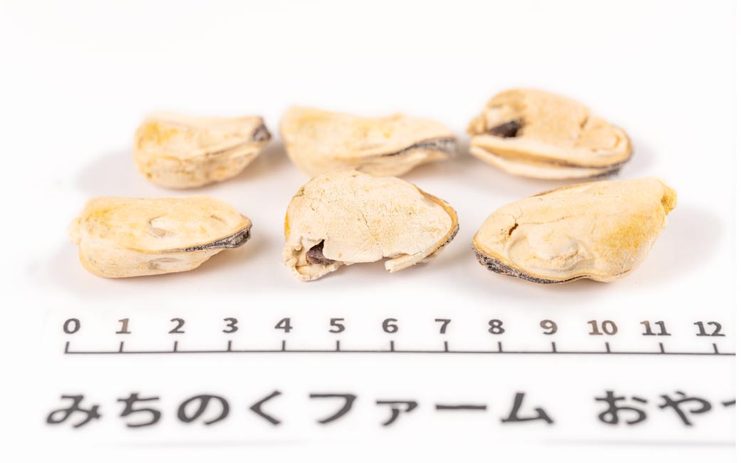 Freeze Dried Mussels pieces served out of the pouch, all-natural, no additives or preservatives. A natural green lipped mussel dog treats treat for dogs and cats from Michinoku Farm Singapore