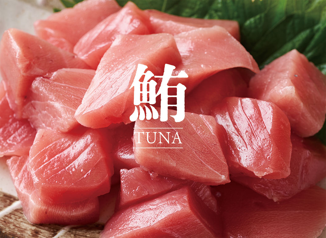 Close-up of Freeze Dried Tuna showing the natural texture of this tuna dog treats. High in DHA, EPA for brain health, a healthy freeze-dried treat from Michinoku Farm Japan