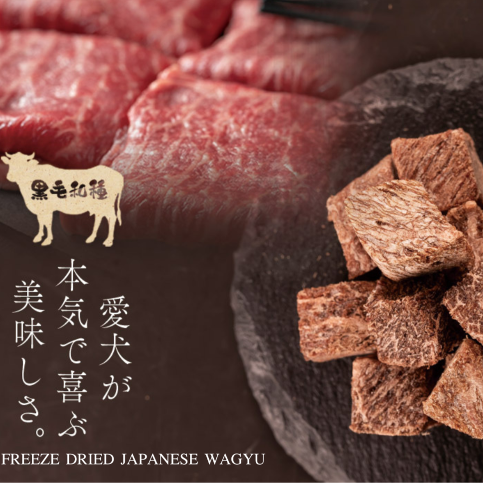 Close-up of Freeze Dried Japanese Wagyu showing the natural texture of this wagyu beef cubes. High protein, supports strength and energy, a healthy freeze-dried treat from Michinoku Farm Japan