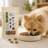 Dog enjoying a natural Michinoku Farm treat, the taste that comes from ingredient plus process