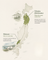 Michinoku Farm name origin, the historic Tohoku region of northern Japan where the brand began