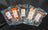 Close-up of Retort 5 Flavors Trial Set showing the natural texture of this freeze dried dog treats. Lean proteins support muscle development, a healthy retort treat from Michinoku Farm Japan