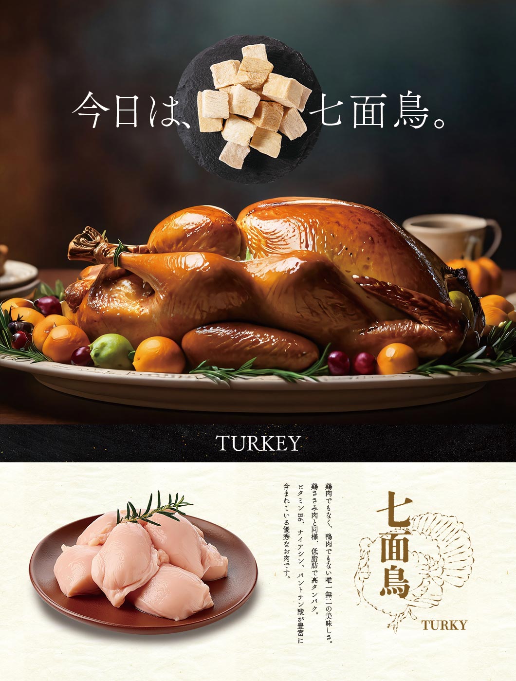 Back of the Freeze Dried Turkey Meat pouch showing full ingredient list and feeding details, dog achilles chew from Michinoku Farm Japan